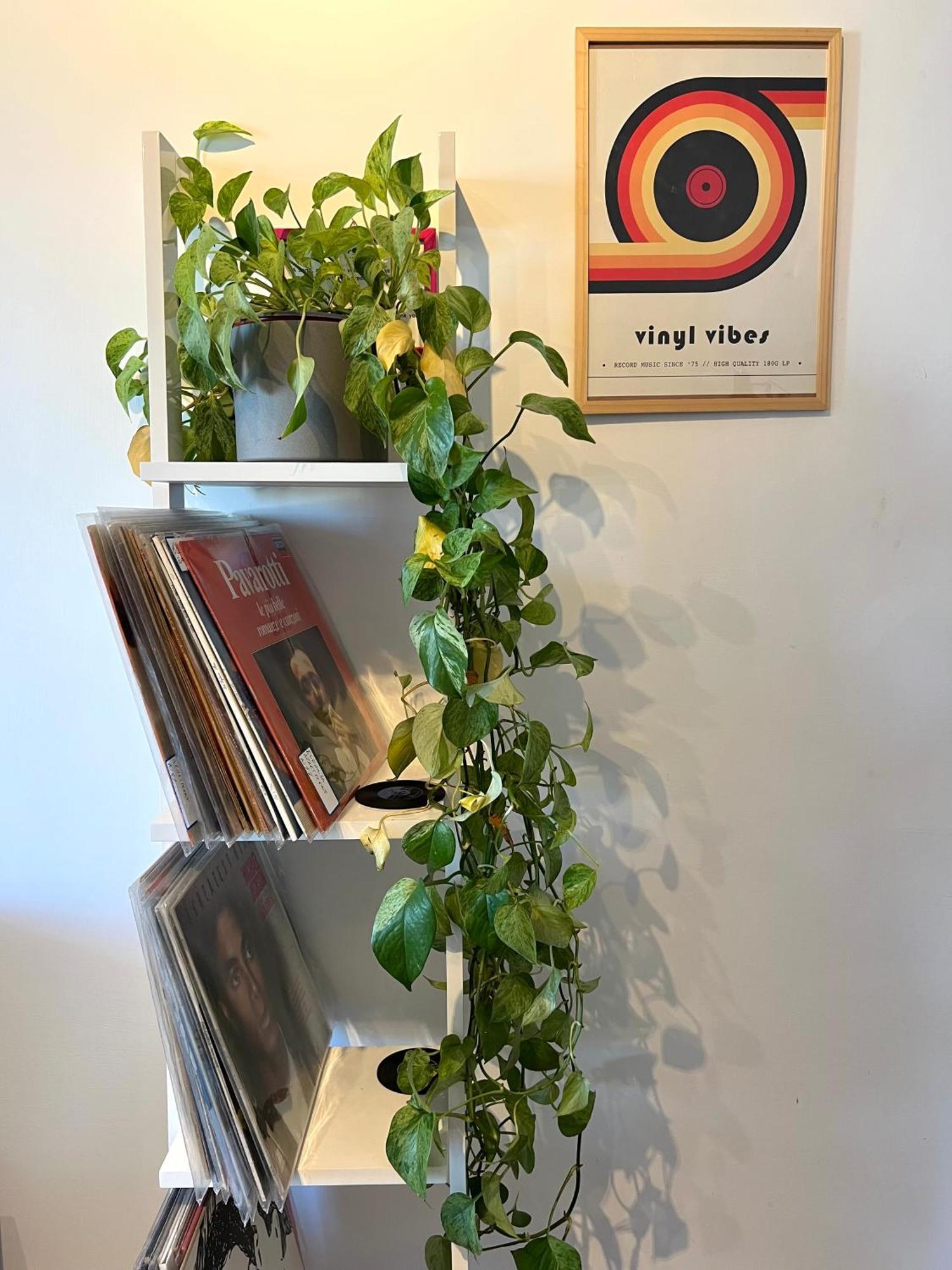 Eufonia Vinyl Friendly Apartment Рим Екстериор снимка